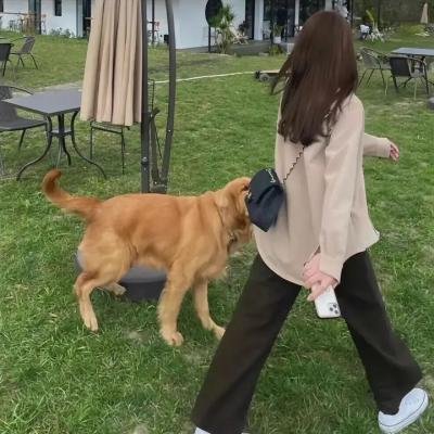 伊夫圣罗兰的手稿